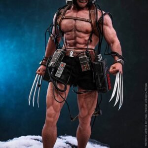 Hot Toys CMS034 Marvel Comics 1/6th scale Weapon X Collectible Figure - Image 1