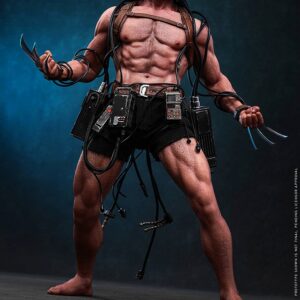 Hot Toys CMS034 Marvel Comics 1/6th scale Weapon X Collectible Figure - Image 6