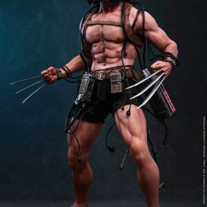 Hot Toys CMS034 Marvel Comics 1/6th scale Weapon X Collectible Figure - Image 7