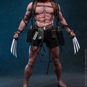 Hot Toys CMS034 Marvel Comics 1/6th scale Weapon X Collectible Figure - Image 9