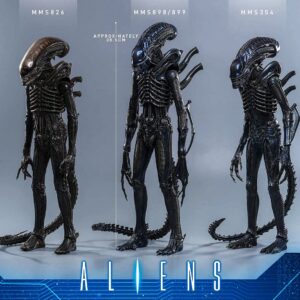 Hot Toys MMS898 1/6th scale Aliens - Alien Warrior - Image 12