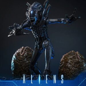 Hot Toys MMS899 1/6th scale Aliens - Alien Warrior (Deluxe Version) - Image 2