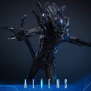 Hot Toys MMS899 1/6th scale Aliens - Alien Warrior (Deluxe Version) - Image 4