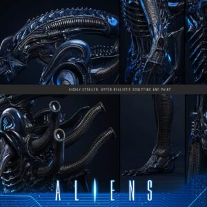 Hot Toys MMS899 1/6th scale Aliens - Alien Warrior (Deluxe Version) - Image 14