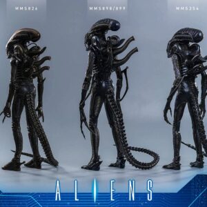 Hot Toys MMS899 1/6th scale Aliens - Alien Warrior (Deluxe Version) - Image 17